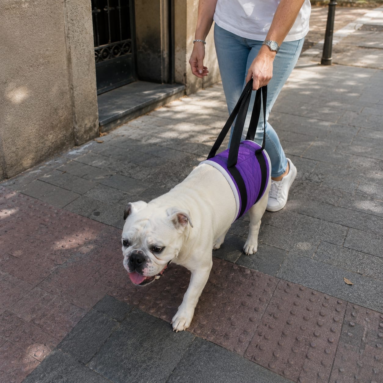 Customer photo review of Soporte Cadera Perro