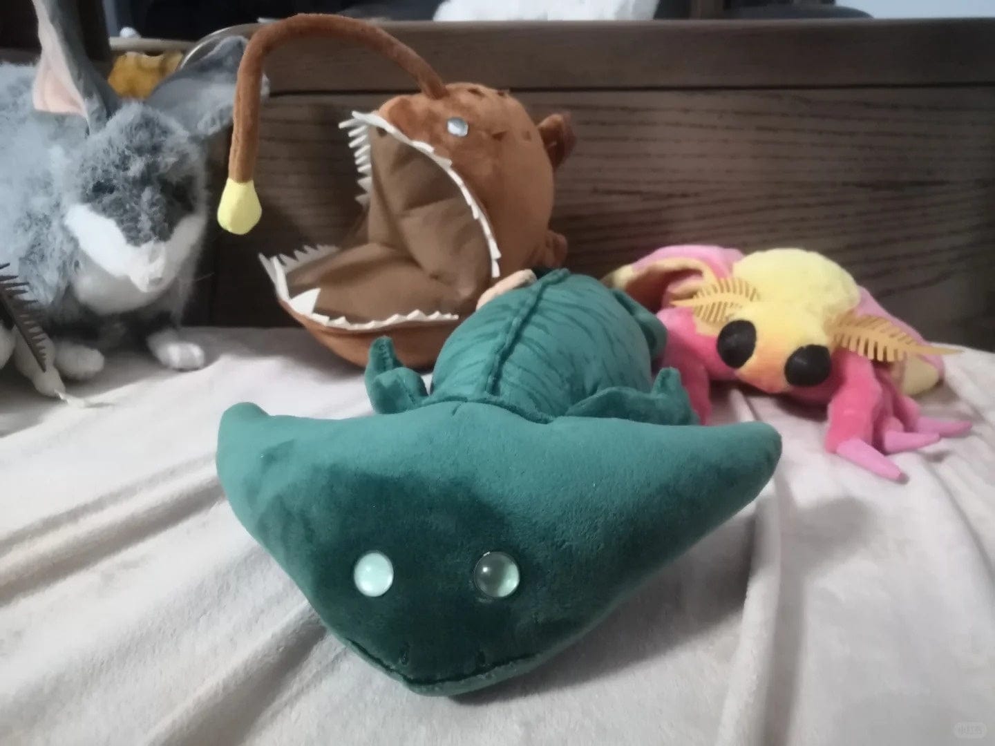 Customer photo review of Diplocaulus Plush – Realistic Boomerang-Headed Prehistoric Amphibian for Paleontology Fans