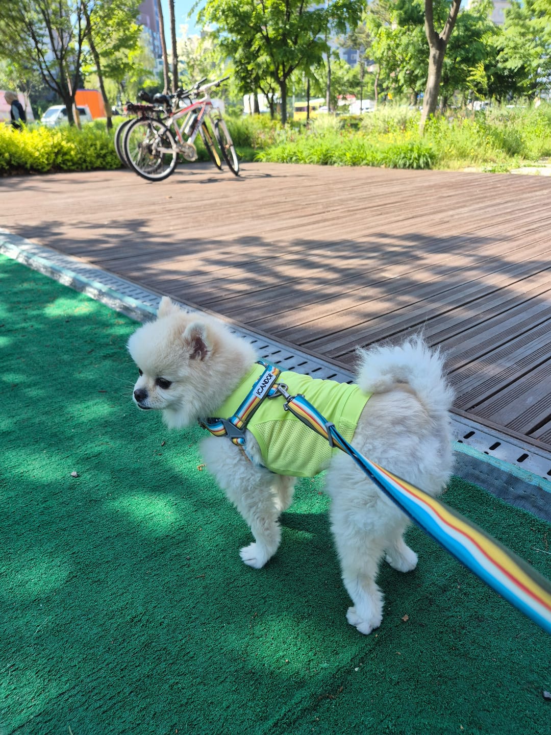 Customer photo review of Gentle Leash Bolt, Long_Ripple