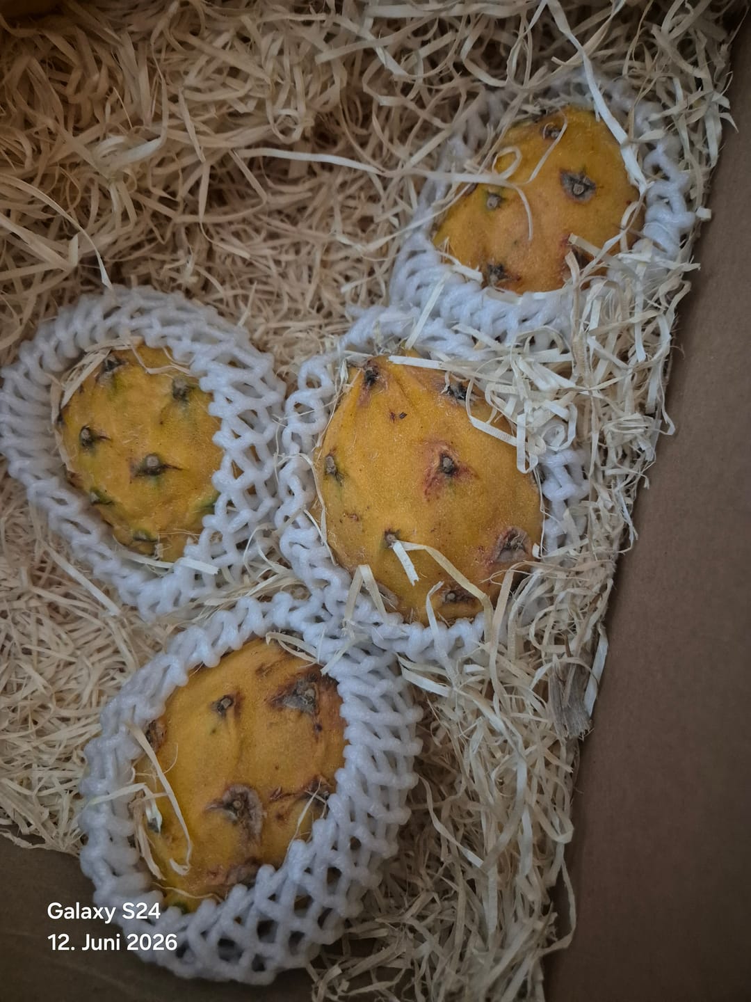 Customer photo review of Goldene Drachenfrucht (Pitaya) Sonderaktion %