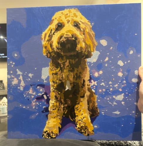 Customer photo review of Custom Paint By Numbers - Personalized Pet Portraits