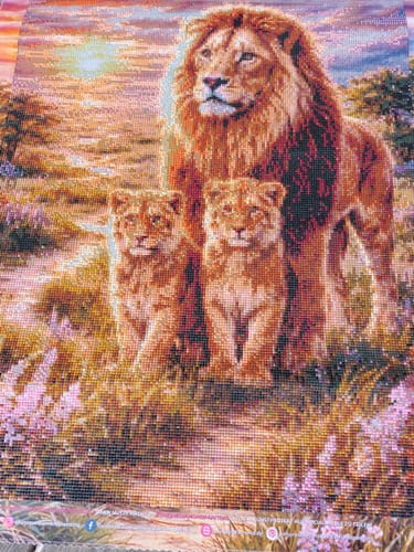 Customer photo review of 5D Diamond Painting – Lion Family Sunset