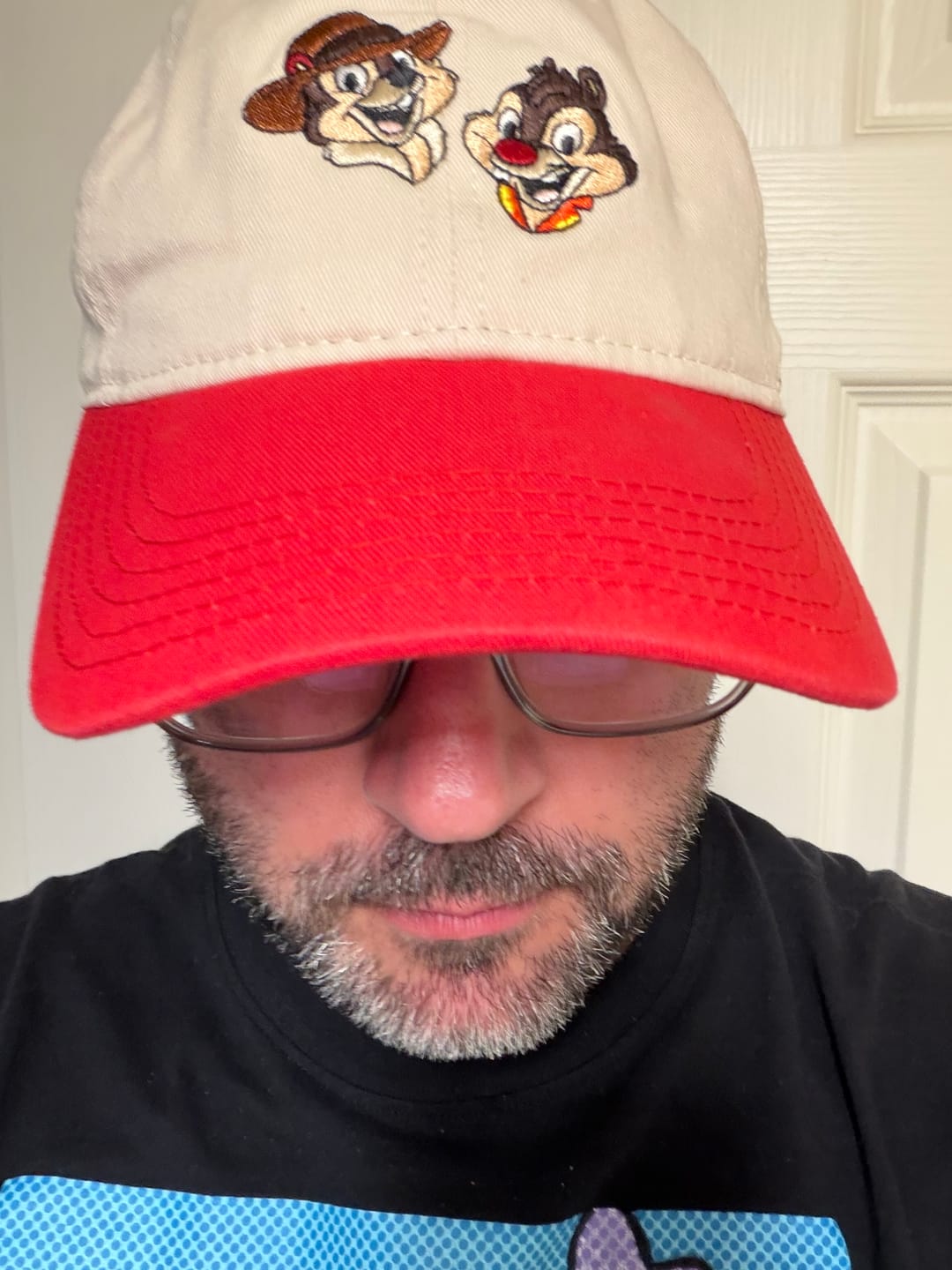 Customer photo review of Disney's Chip 'n Dale Rescue Rangers "To the Rescue" – Dad Hat