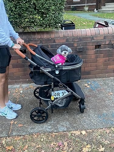 Customer photo review of Fur King Royal - 20kg Pet Stroller