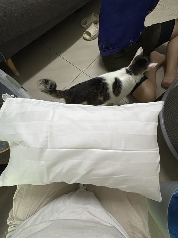 Customer photo review of Getha Travel Pillow - Small