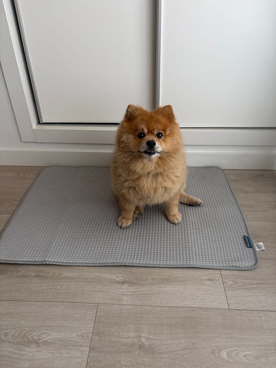 Customer photo review of Frostcore™ Cooling Mat - Waffle Grey