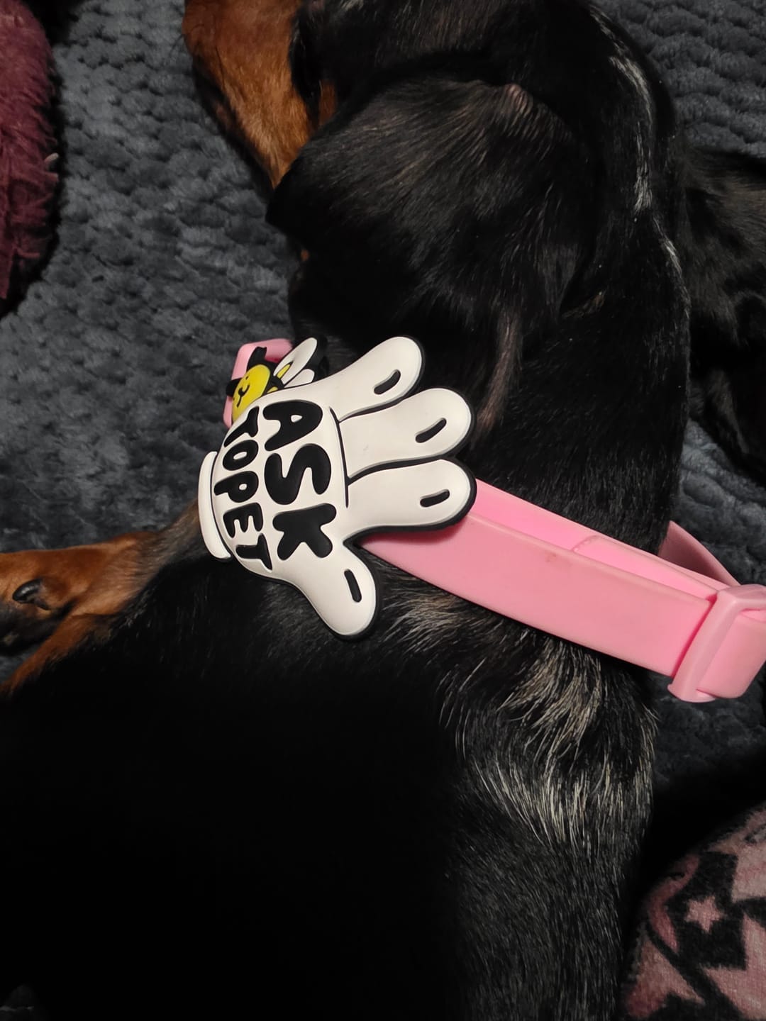 Customer photo review of Ask To Pet Jiby Dog Charm