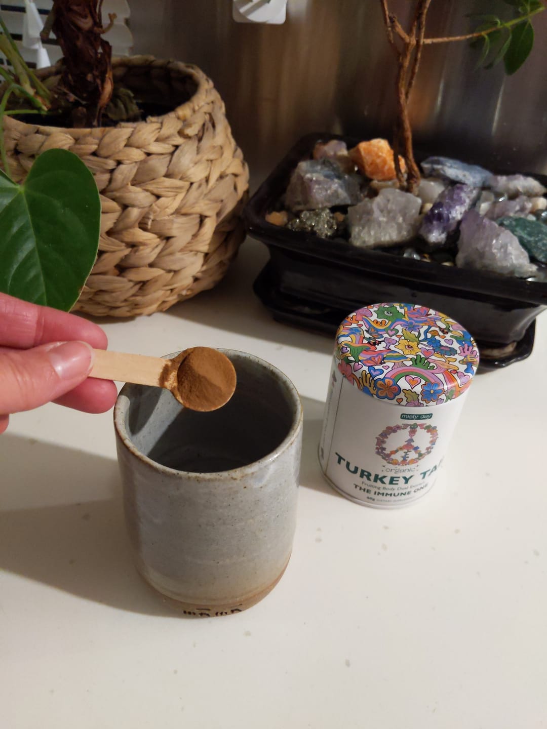 Customer photo review of Turkey Tail Extract