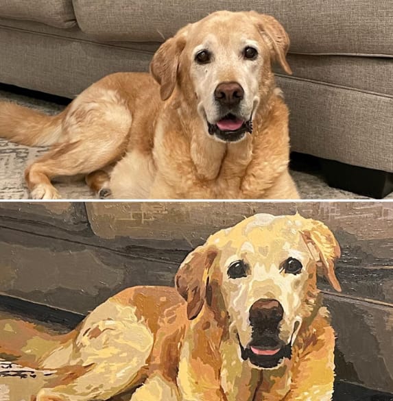 Customer photo review of Custom Paint By Numbers - Personalized Pet Portraits