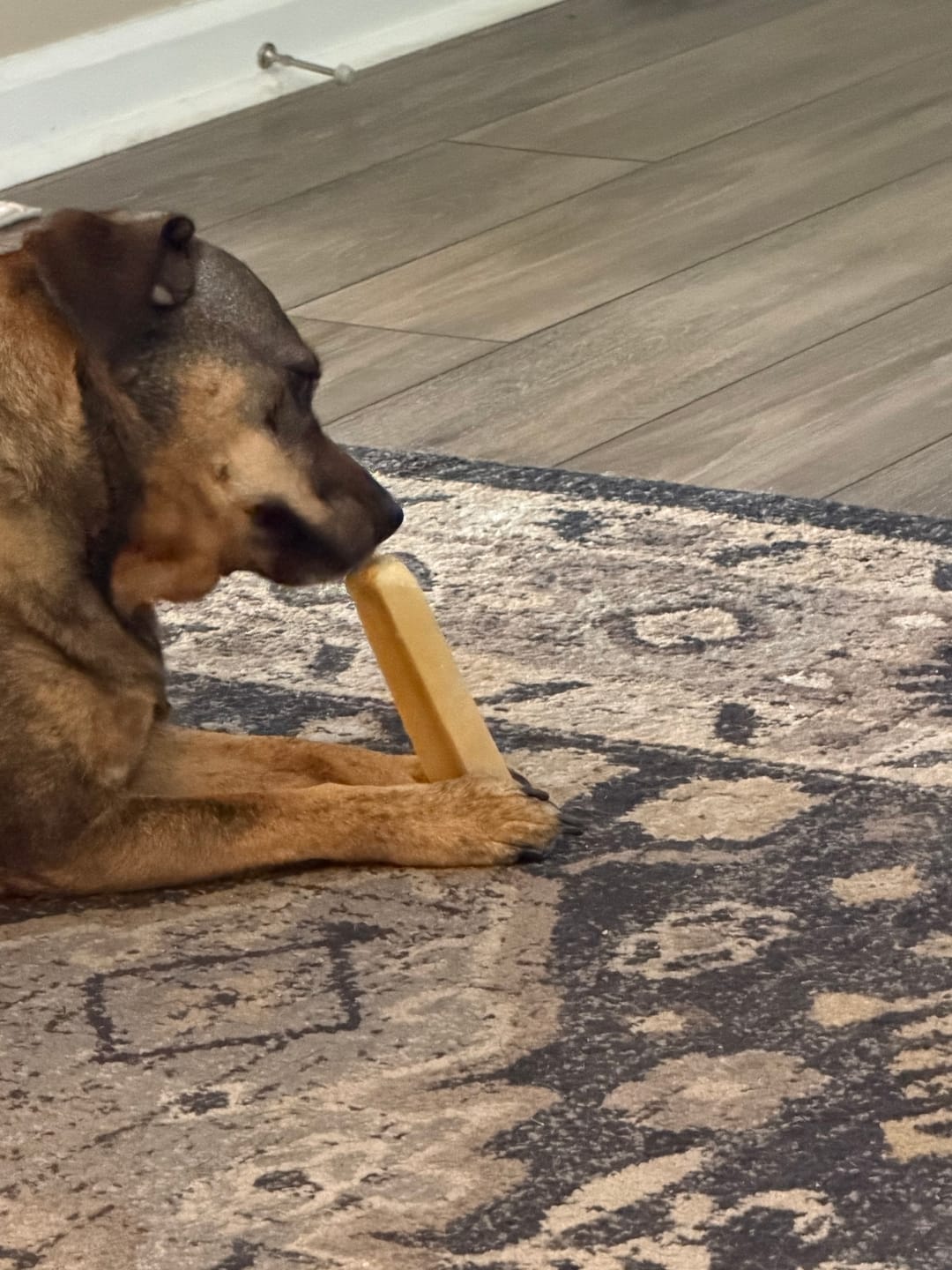 Customer photo review of Regular/Unflavored Himalayan Yak Chews | 6-Sizes (for Small to Big Dogs)