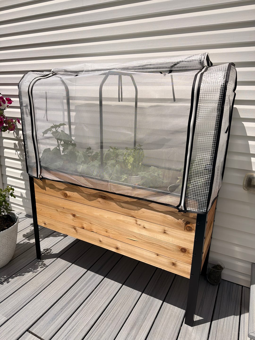Customer photo review of Greenhouse Cover