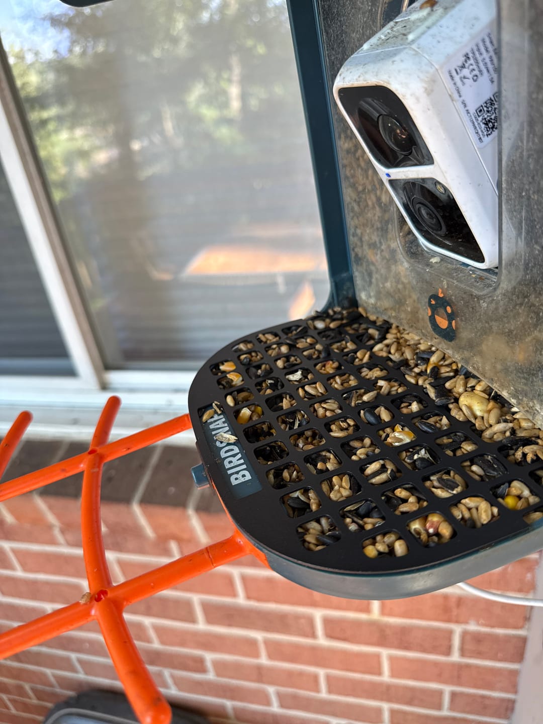 Customer photo review of Squirrel Proof Mesh, compatible with P53n, TUC, PAV