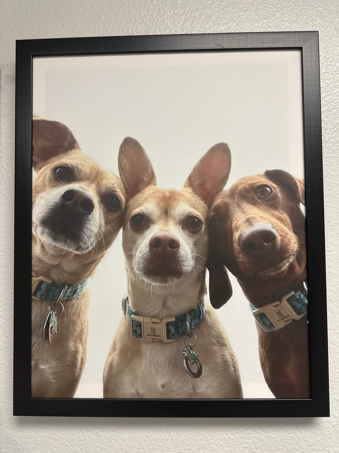 Customer photo review of Artzuzu Custom Portrait For Pets - Hey!