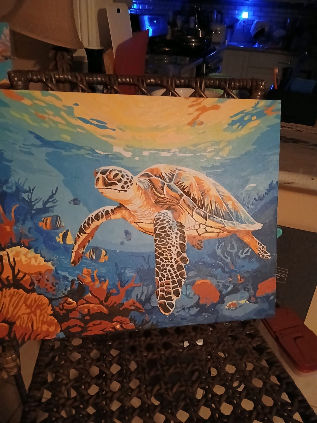 Customer photo review of Coral Glide