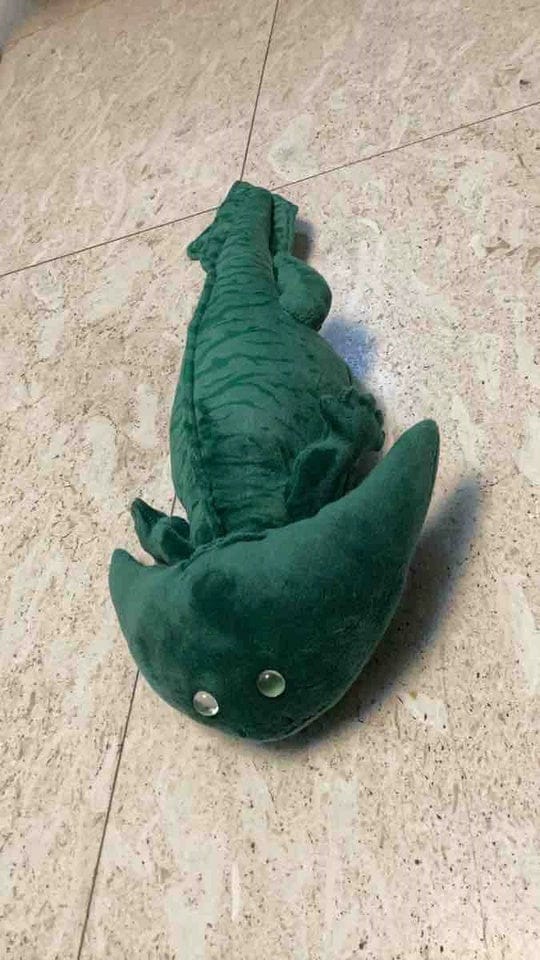 Customer photo review of Diplocaulus Plush – Realistic Boomerang-Headed Prehistoric Amphibian for Paleontology Fans