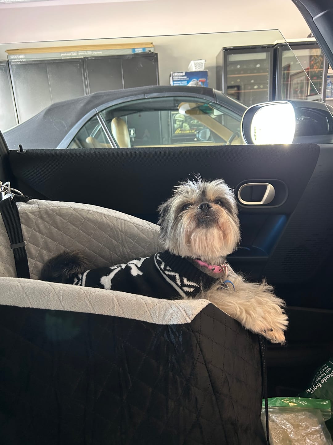 Customer photo review of Dog Car Booster Seat