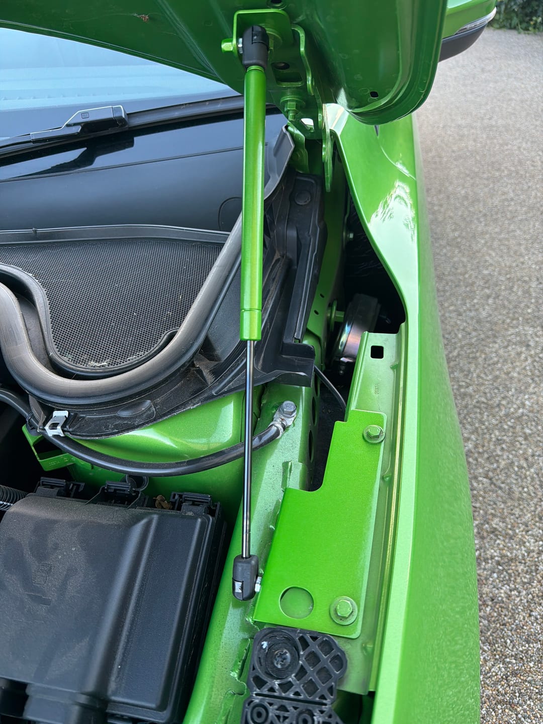 Customer photo review of Mk4/4.5 Focus inc ST Gas Strut Bonnet Lifters (Painted Finishes)