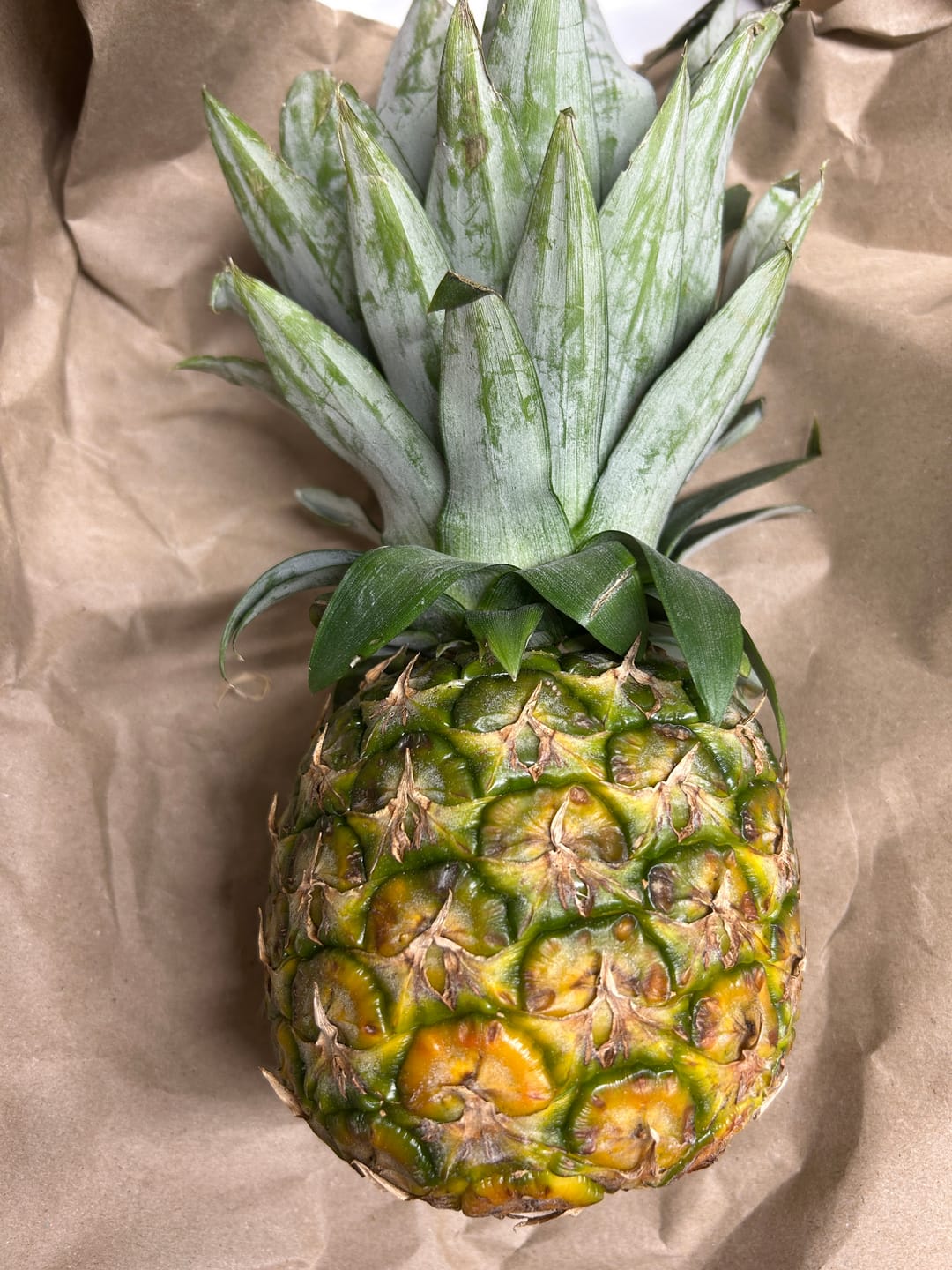 Customer photo review of Ananas Flugware reifgeerntet Aktionspreis %