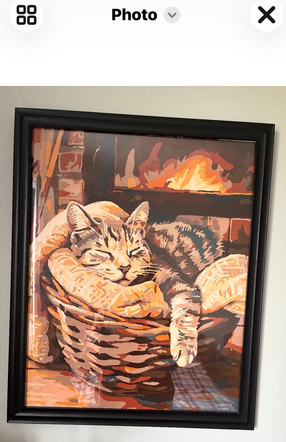 Customer photo review of Bascat