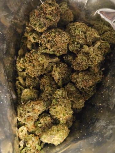 Customer photo review of Acapulco Gold THCA Flower