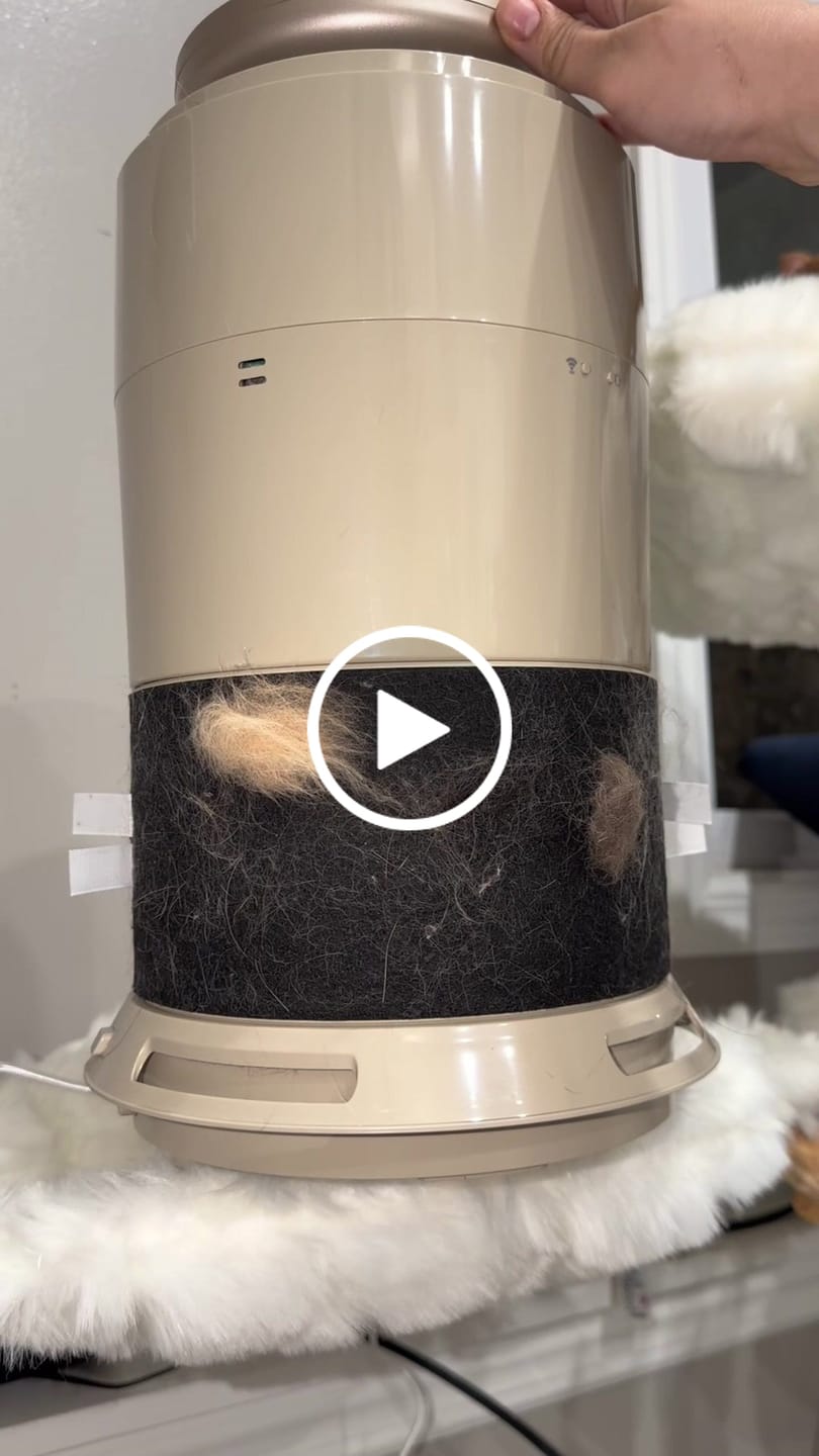 Customer video review of Pet Air Purifier