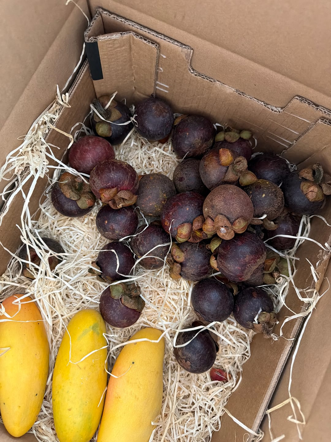 Customer photo review of Mangostan unbehandelt Thailand 1,5kg Box Kennenlernpreis %