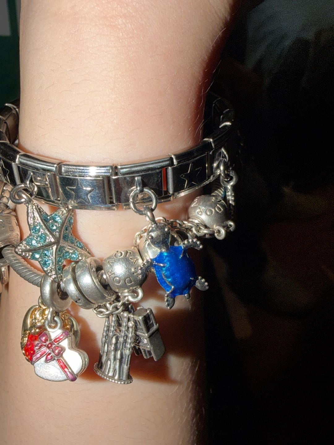 Customer photo review of Charm Tortuga