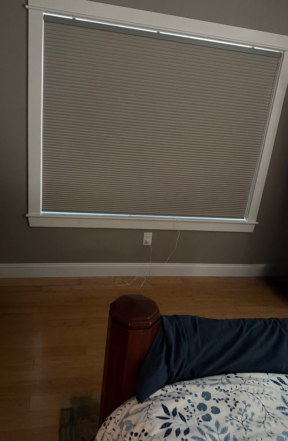 Customer photo review of SmartWings Motorized Blackout Cellular Shades Hazel