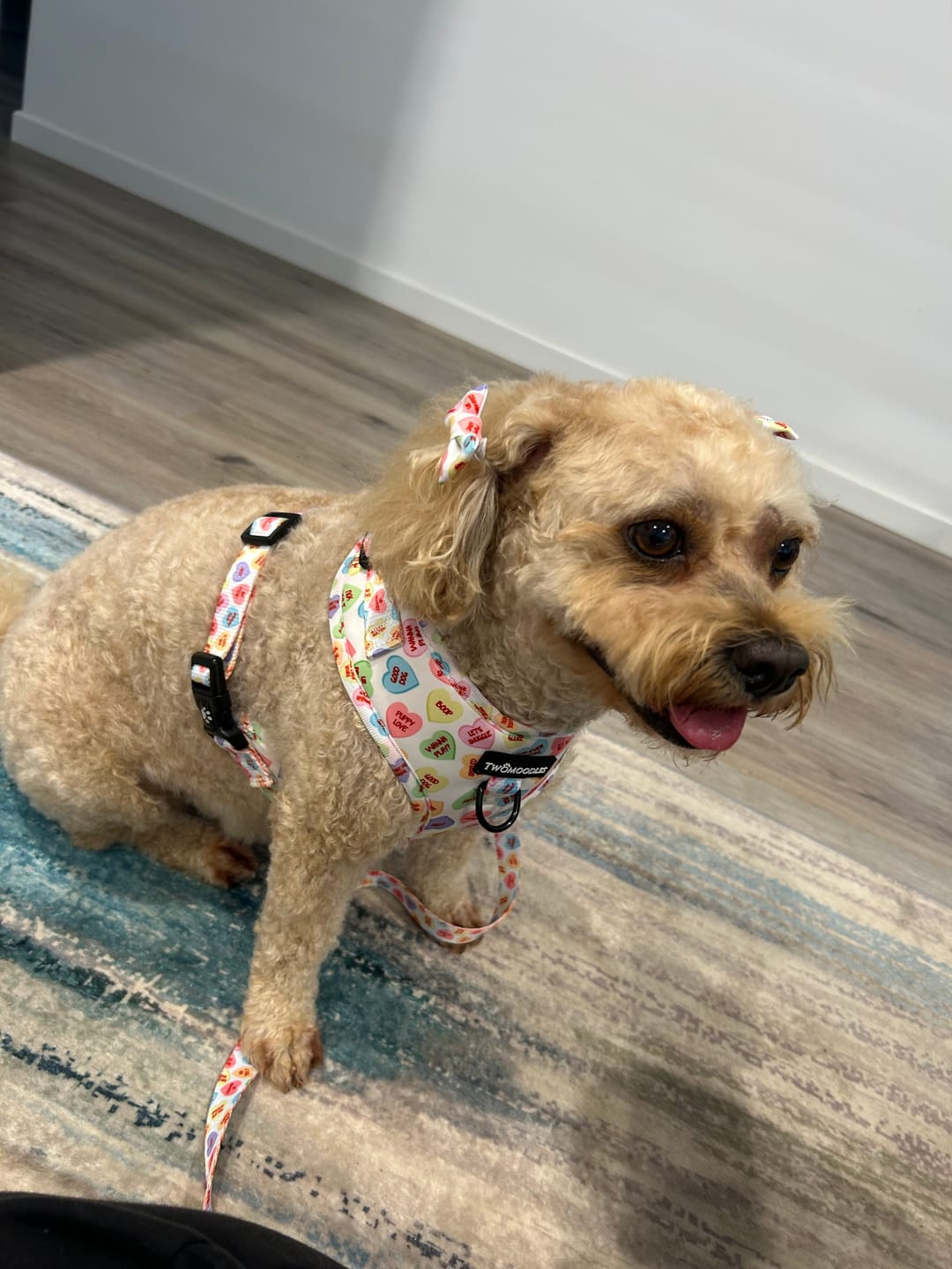 Customer photo review of LEASH - SWEET TALKER