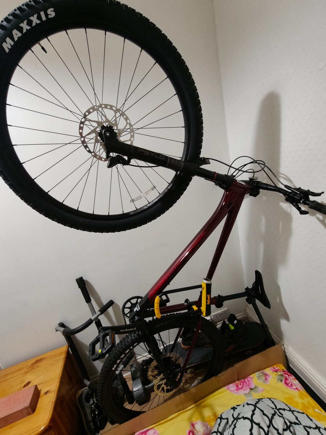 Customer photo review of Bike Nook™ Turbo