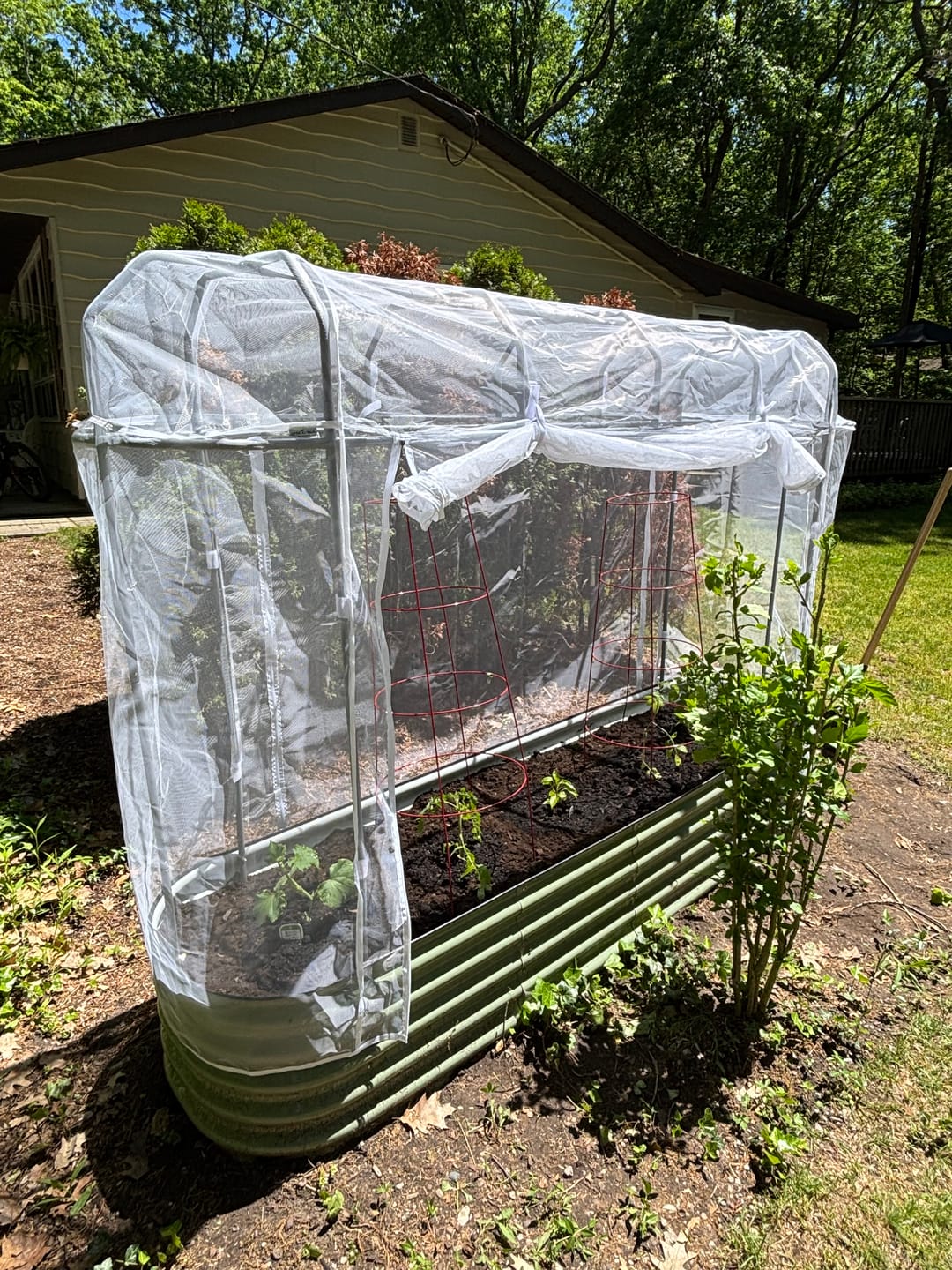 Customer photo review of Tight-Fitting Greenhouse Cover