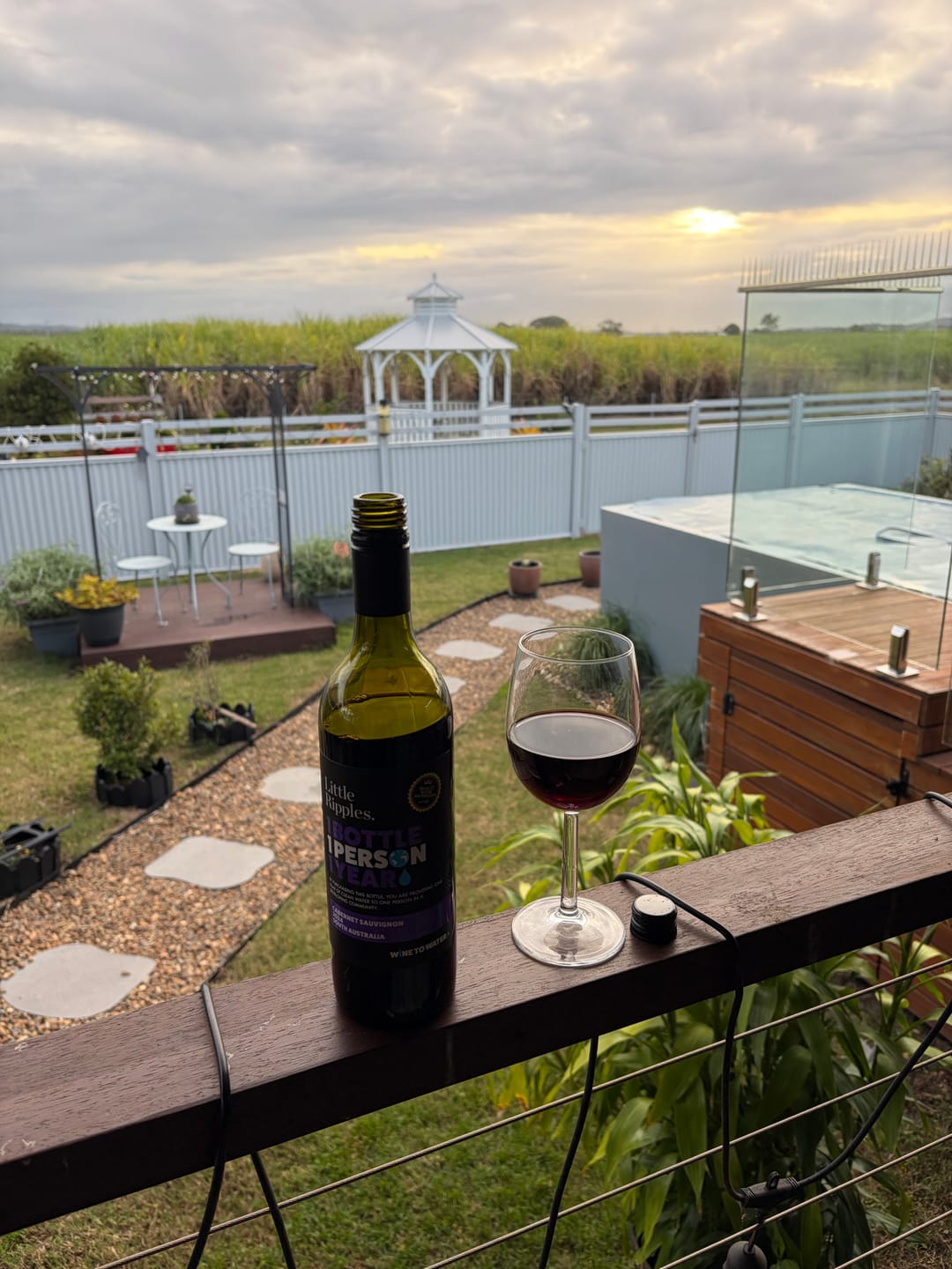 Customer photo review of Cabernet Sauvignon - 6pk