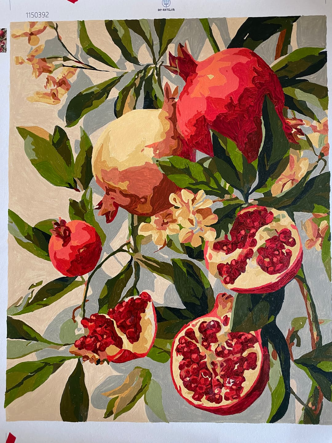 Customer photo review of Blooming pomegranates | Paint by Number