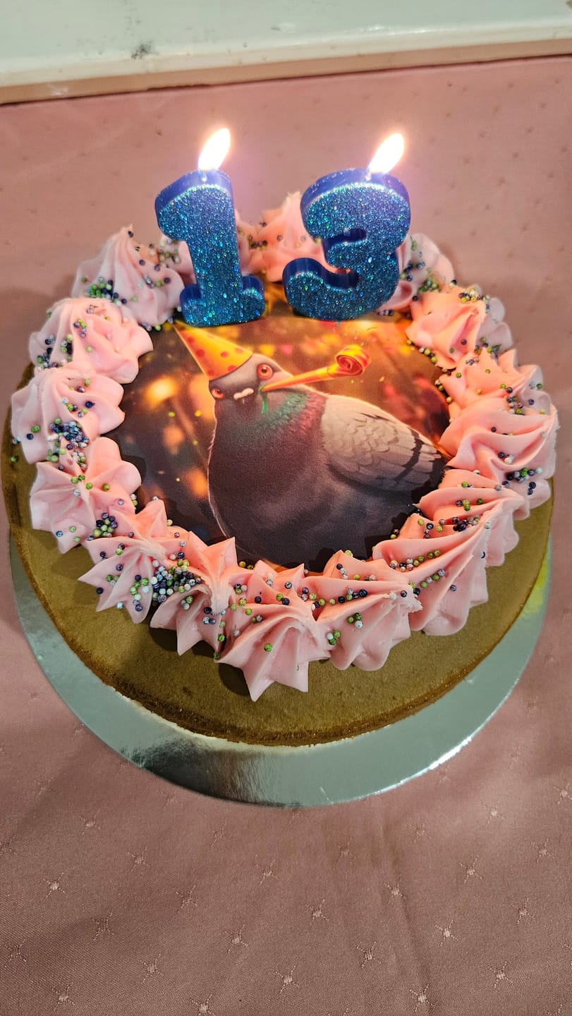 Customer photo review of 15 cm Round Custom Edible Icing Image