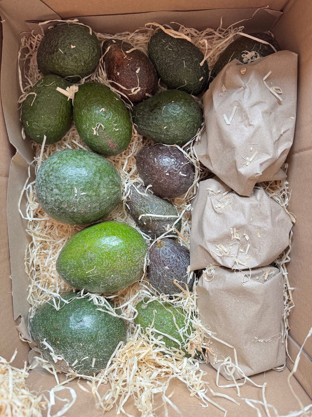 Customer photo review of Avocado Retterbox "Späternte" von Juan 3kg
