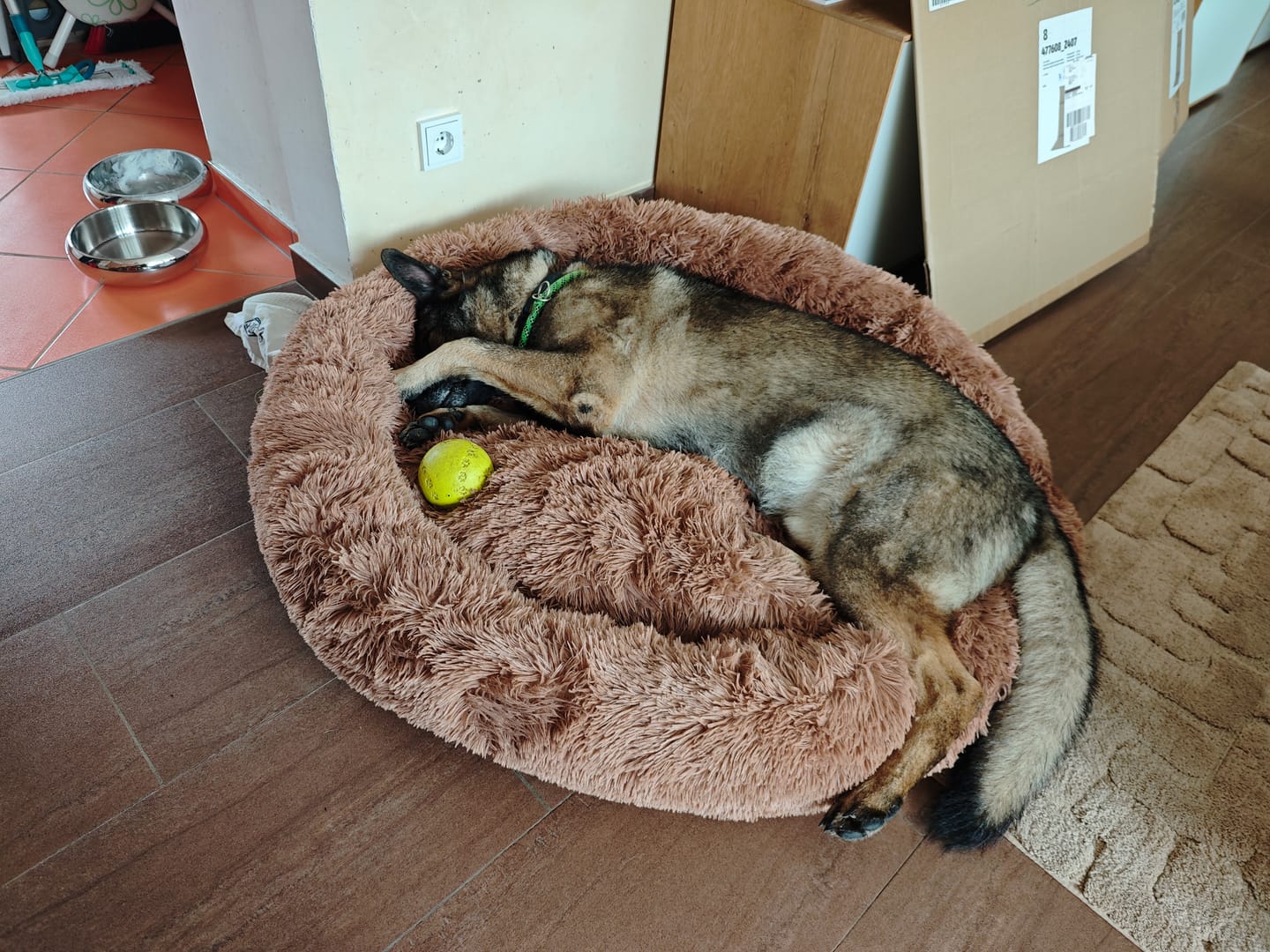 Customer photo review of Hundebett Fluffy Plus - Das Original