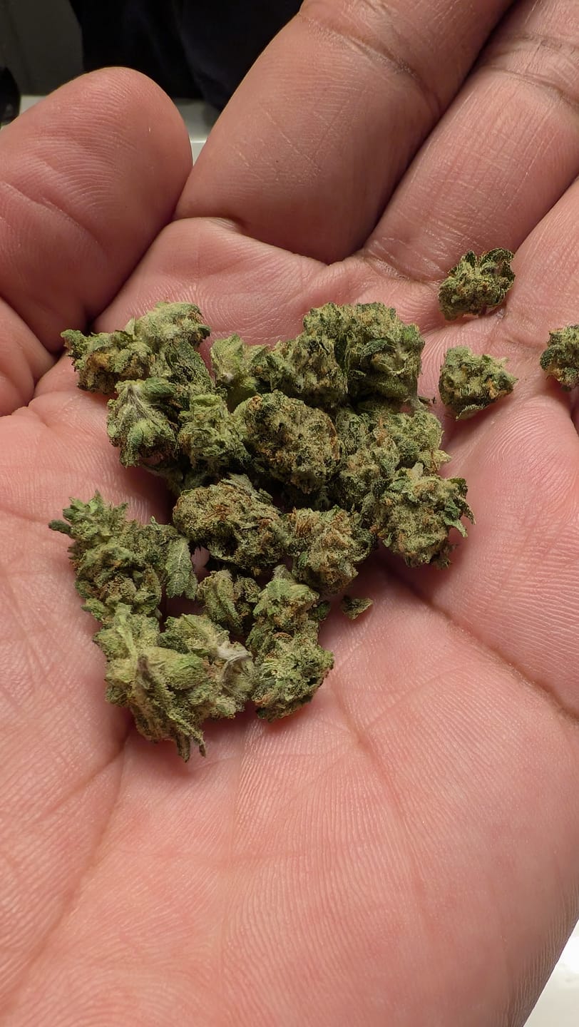 Customer photo review of Blue Dream - 14 Grams - Sativa