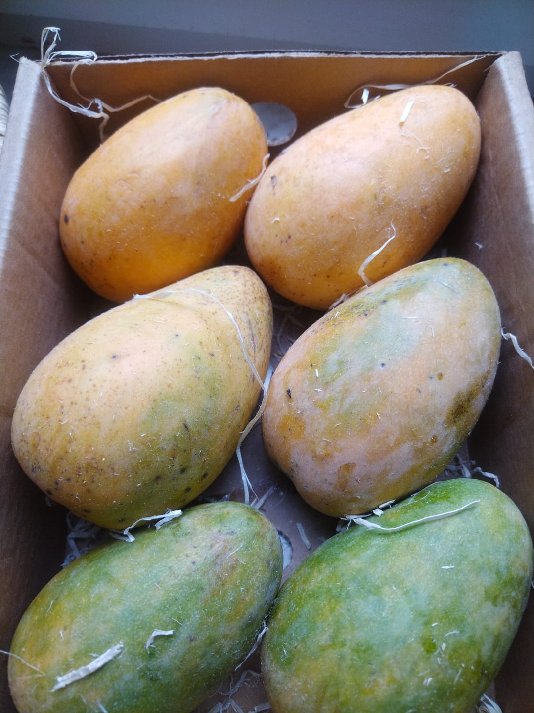 Customer photo review of Mango Mingolo baumgereift Sonderaktion % 2kg Box