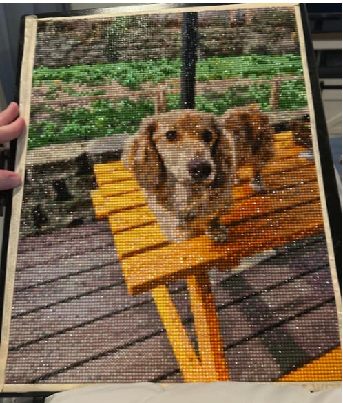 Customer photo review of Custom Diamond Painting Kits