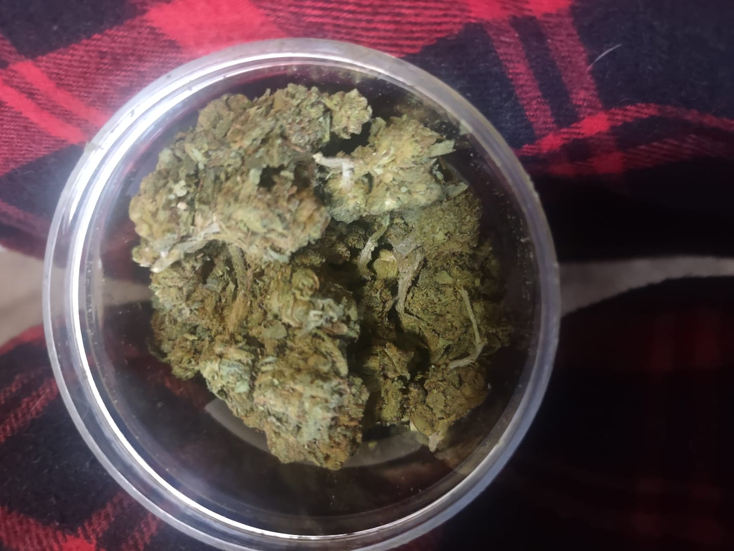 Customer photo review of Biscotti Cake - 28 Grams - Hybrid