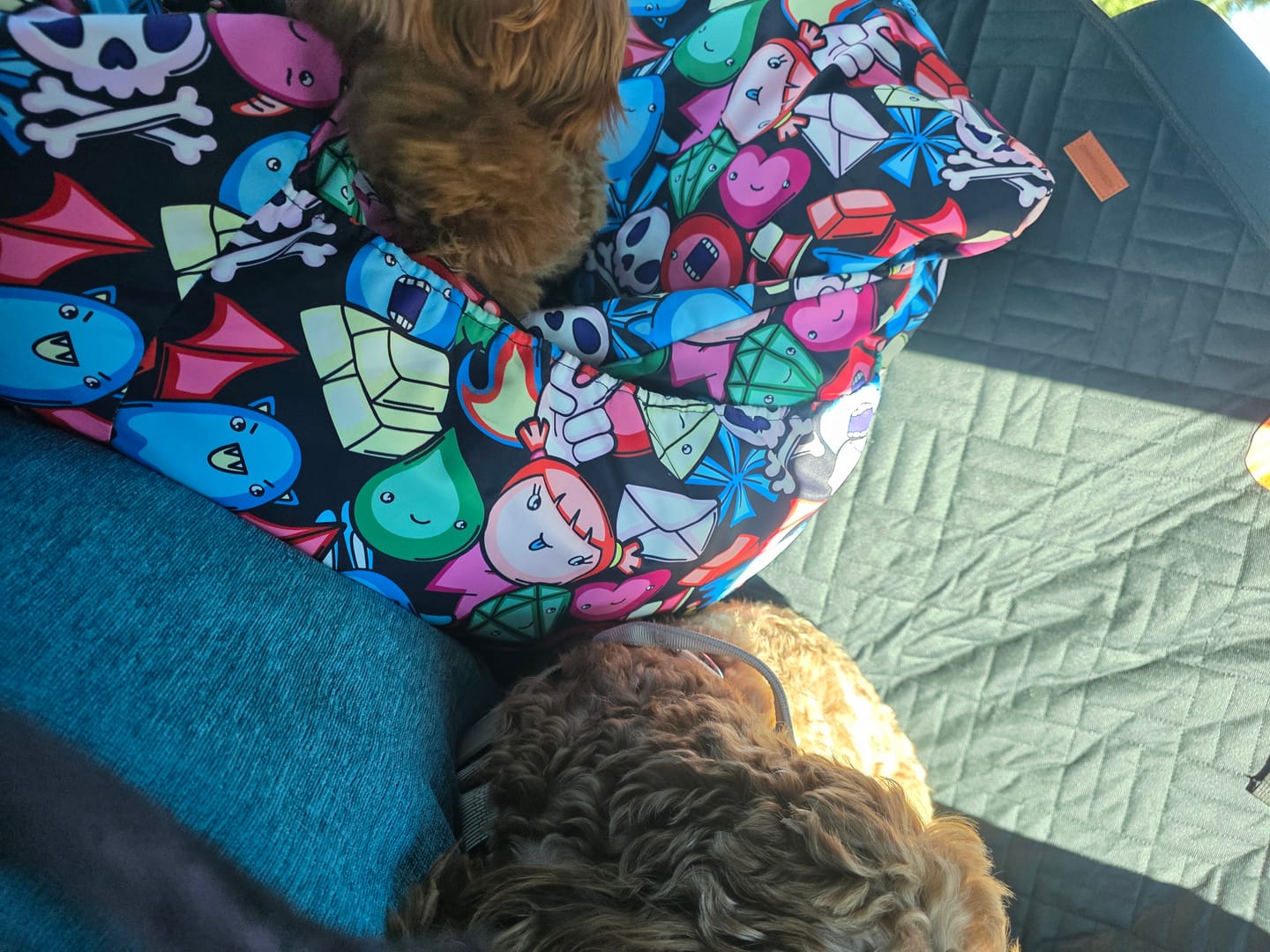 Customer photo review of Companion&Co™ Hard Bottom Car Seat Cover