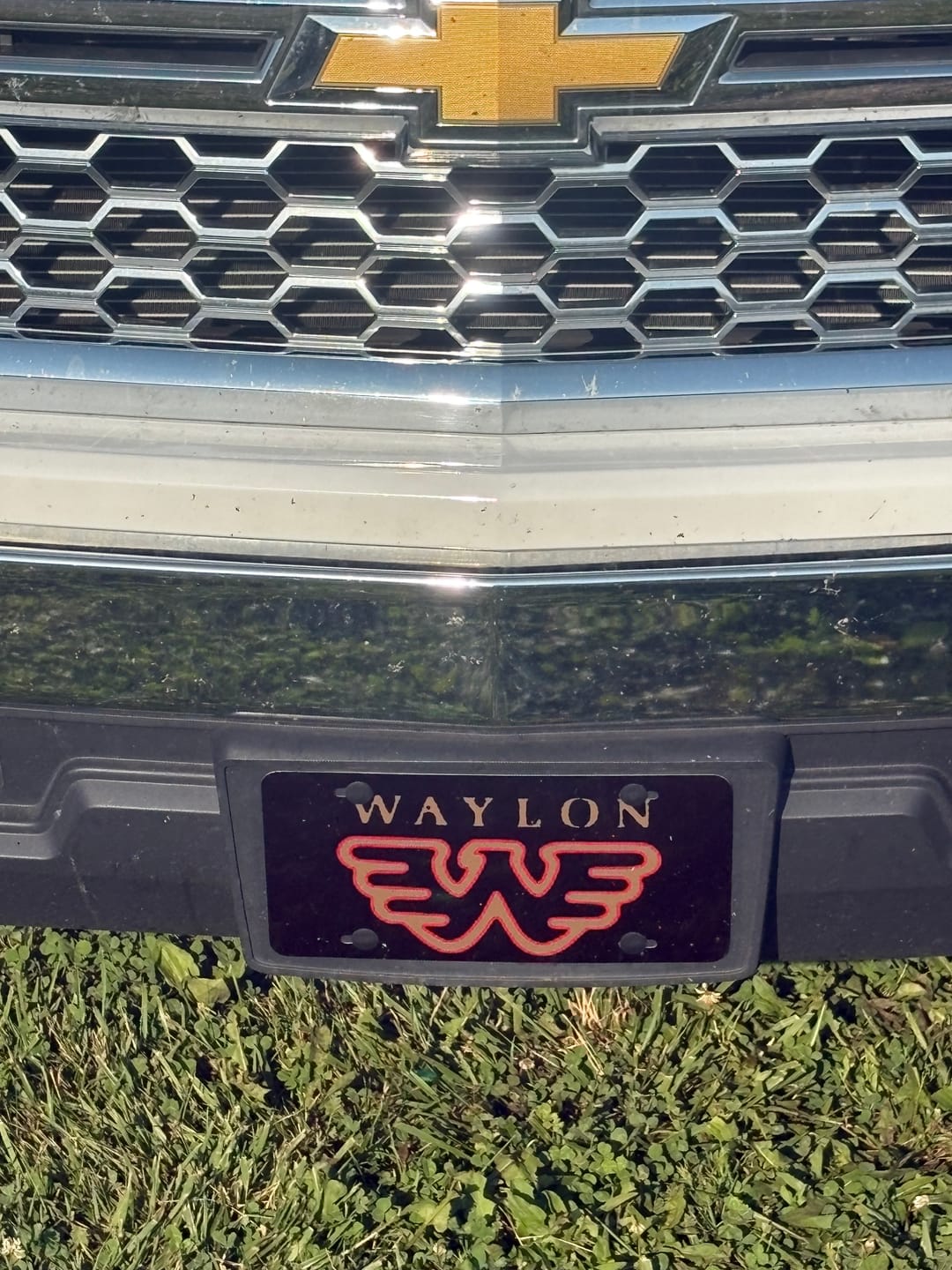 Customer photo review of Waylon Jennings Flying W License Plate