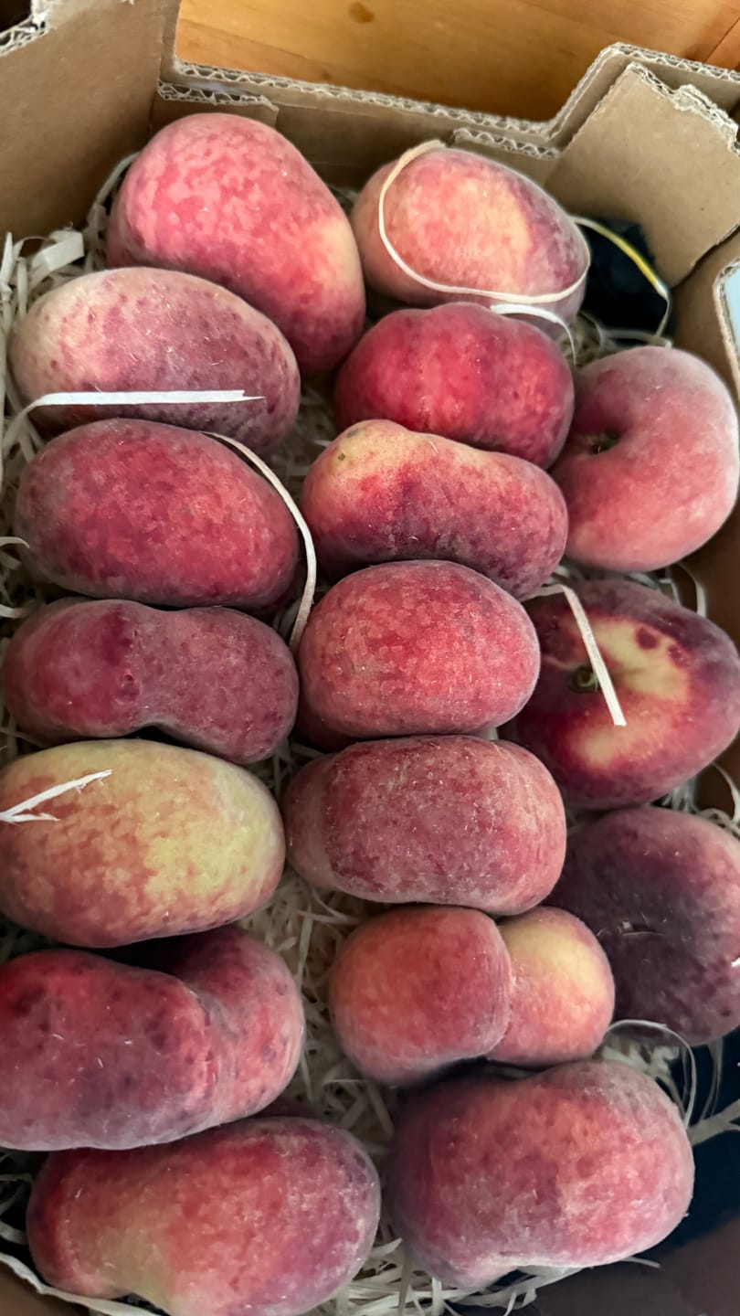 Customer photo review of Weinbergpfirsiche "Paraguayo" Bio von Jose 2kg Box Sonderpreis %