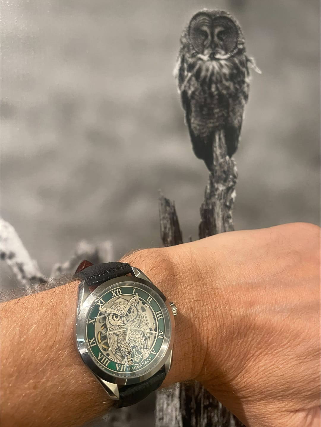 Customer photo review of Skeleton Masonic Watch - Noctua Green