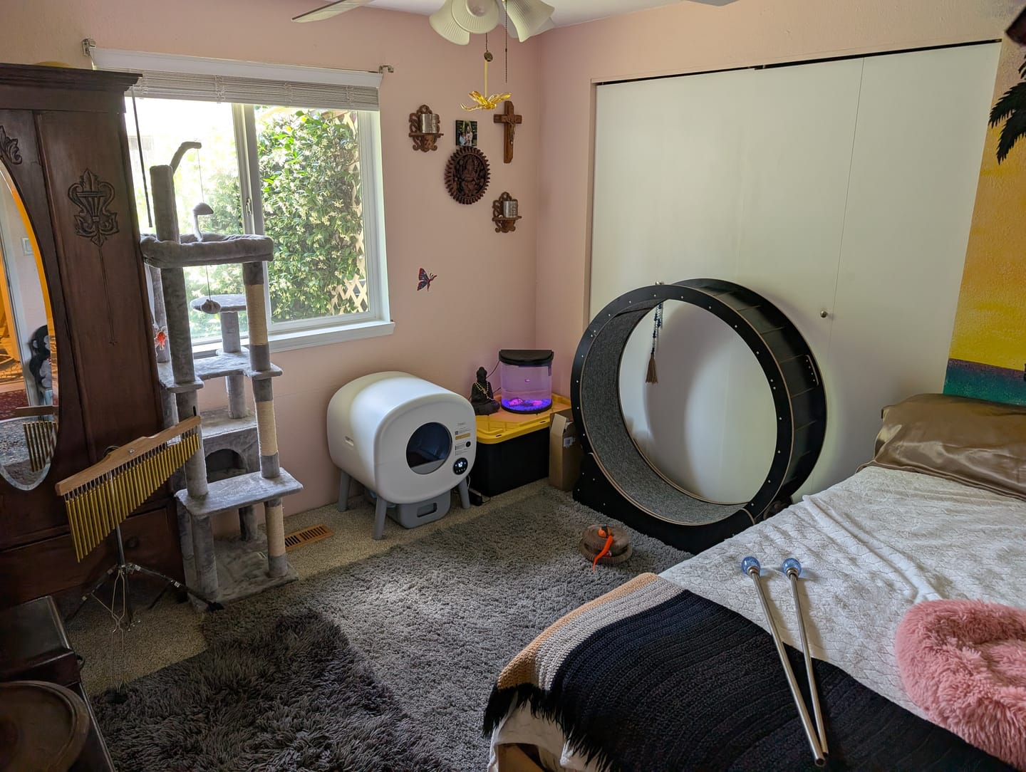 Customer photo review of Cumrige Self-Cleaning Litter Box | Automatic, Extra-Large Capacity for Multi-Cat Homes (M2)
