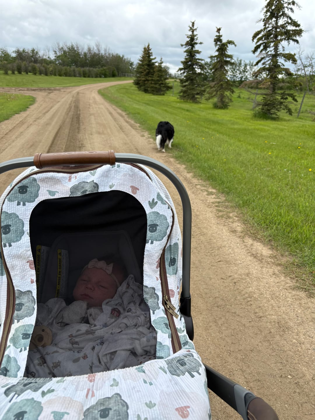 Customer photo review of Create - Summer Lite Cover