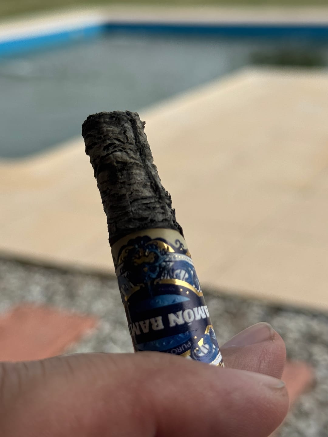 Customer photo review of Petit Purito