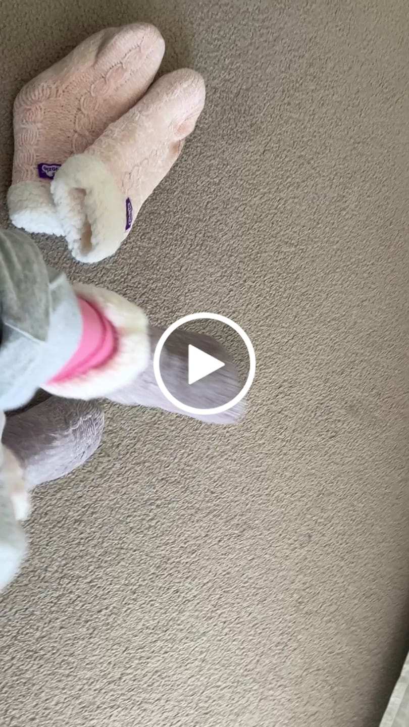 Customer video review of The Foozie™