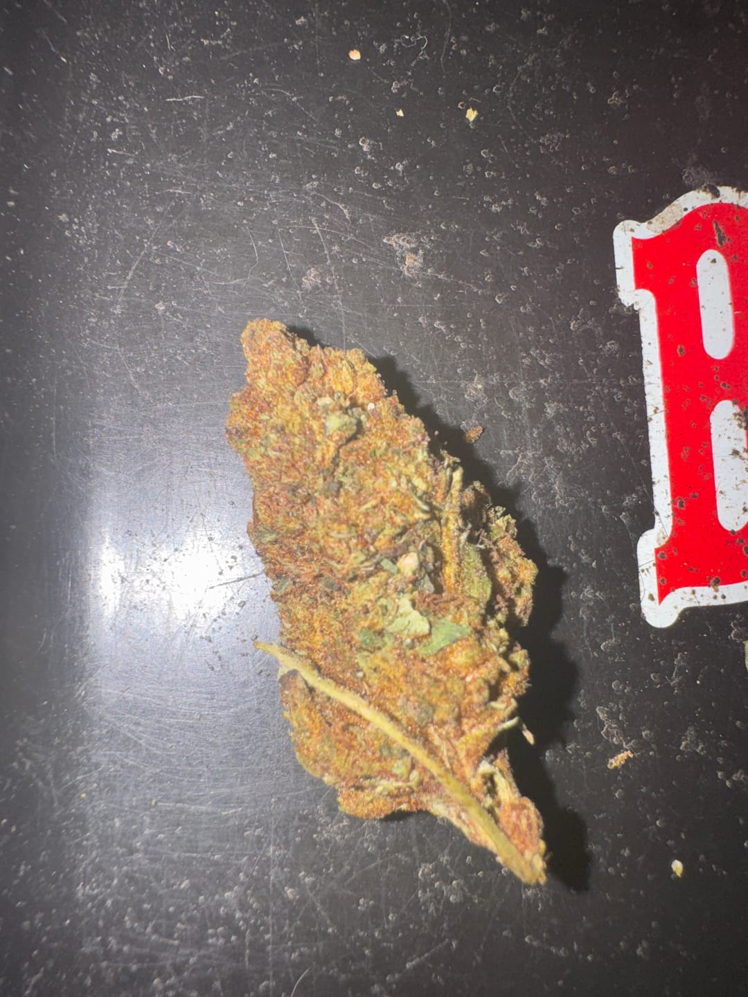 Customer photo review of Winter Breath - Bulk - Hybrid