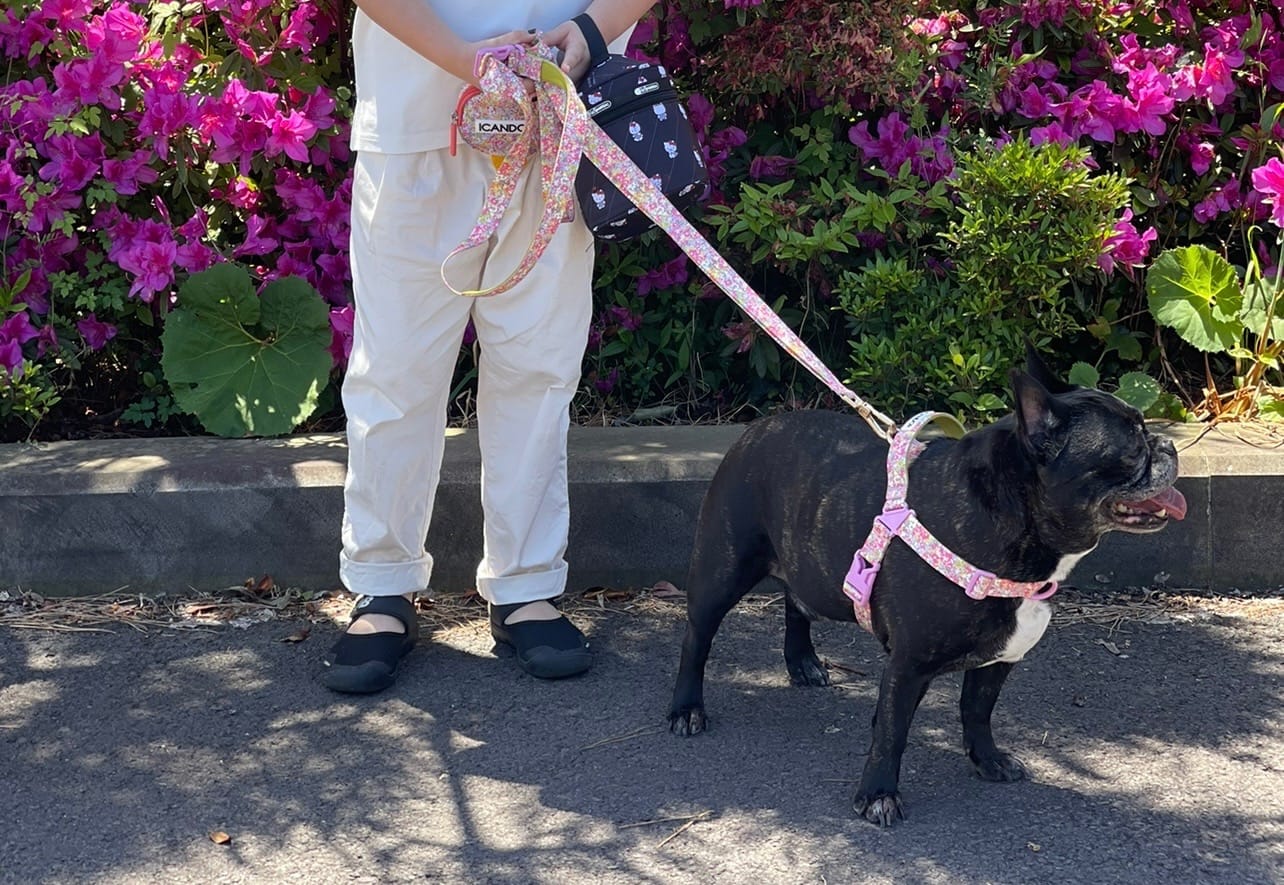 Customer photo review of No-Pull Harness_Flora